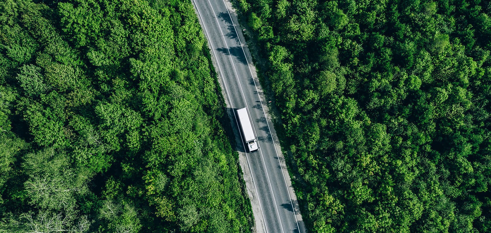 Truck driving through a forest road